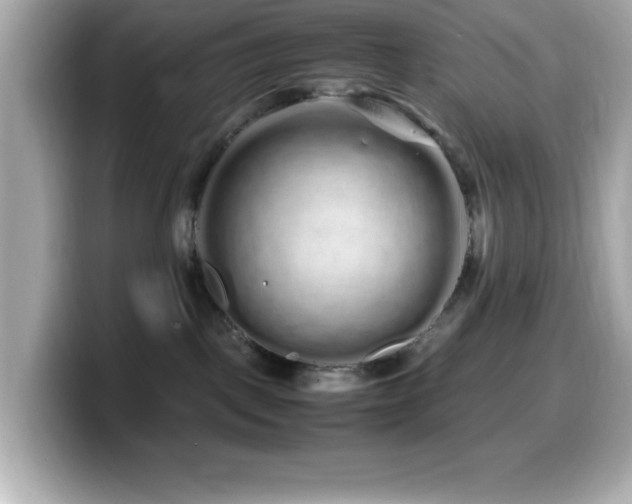 X0000099940093200805231301