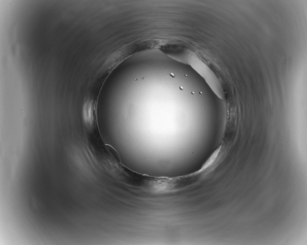 X0000099940094200805231301