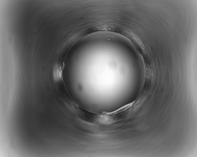 X0000099940095200805231301