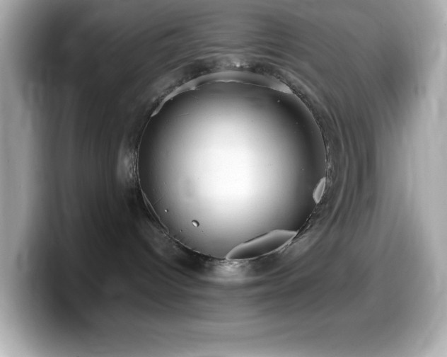 X0000099940096200805231301