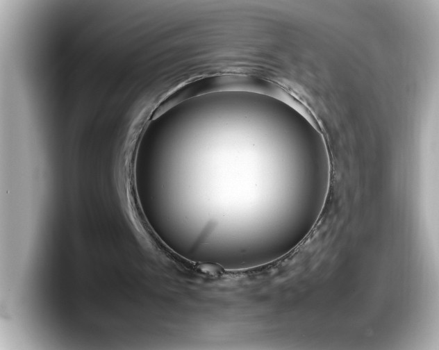 X0000099940097200805231300