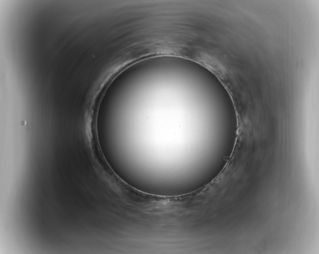 X0000099940098200805231300