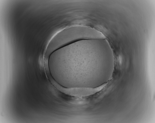 X0000099940100200805231300