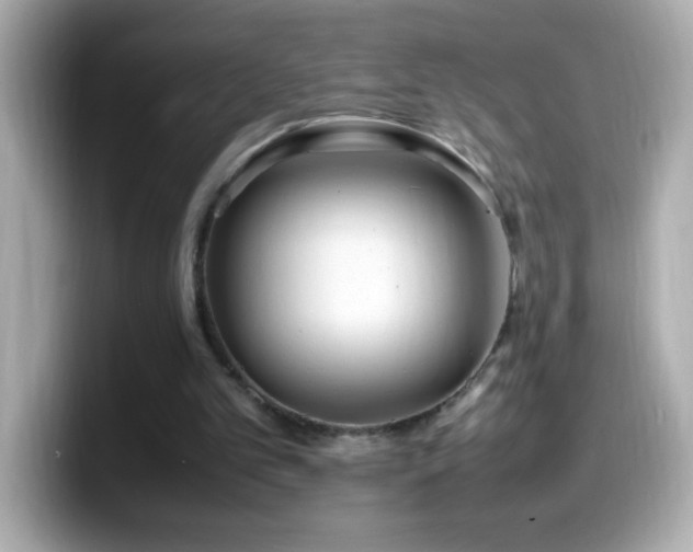 X0000099940101200805231300