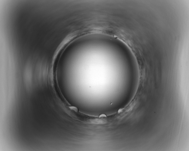 X0000099940102200805231300