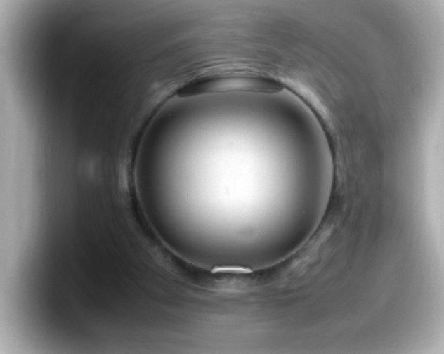 X0000099940105200805231300