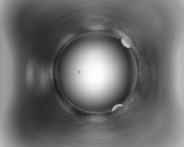 X0000099940106200805231300