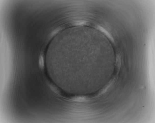 X0000099940110200805231300