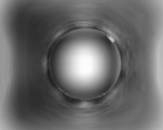 X0000099940111200805231300