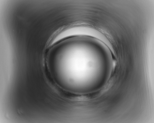 X0000099940112200805231300