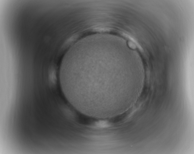 X0000099940114200805231300