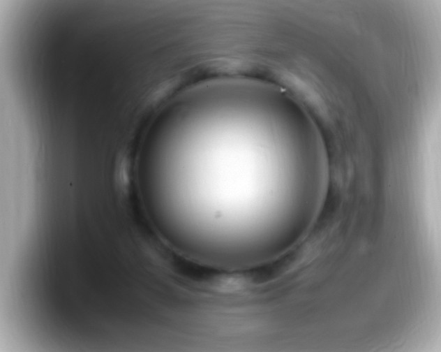 X0000099940115200805231300