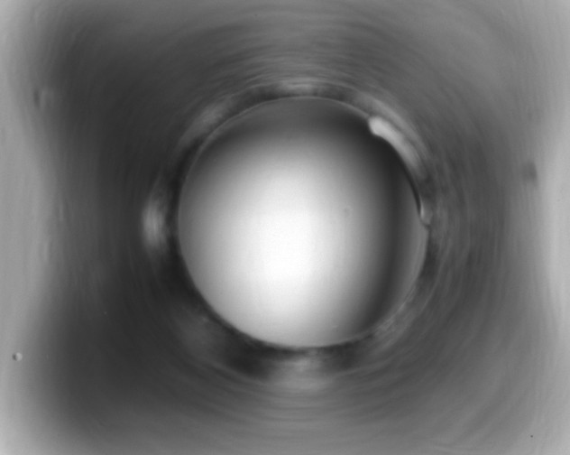 X0000099940116200805231300