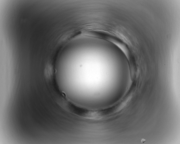 X0000099940117200805231300