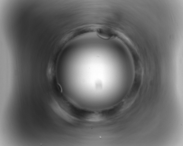 X0000099940119200805231300
