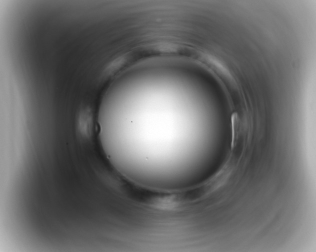 X0000099940120200805231300