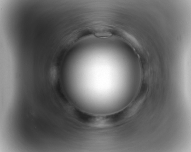 X0000099940121200805231300