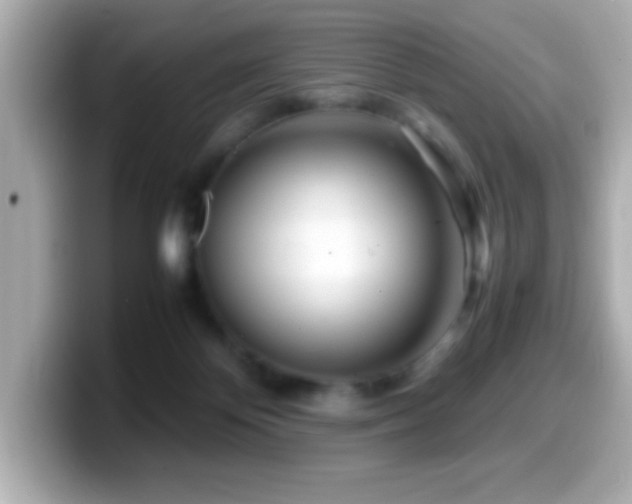 X0000099940124200805231300