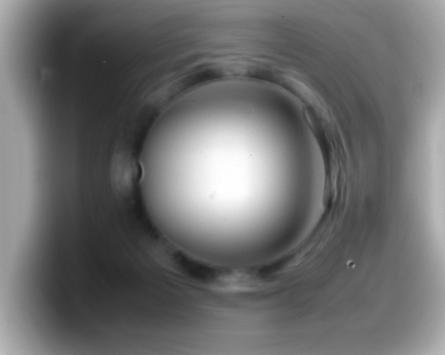 X0000099940125200805231300