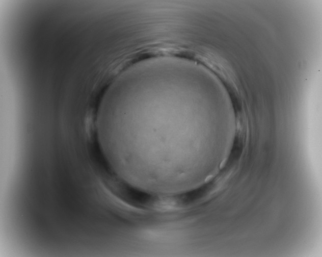 X0000099940127200805231300