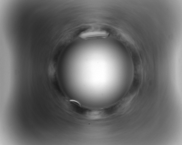 X0000099940129200805231300