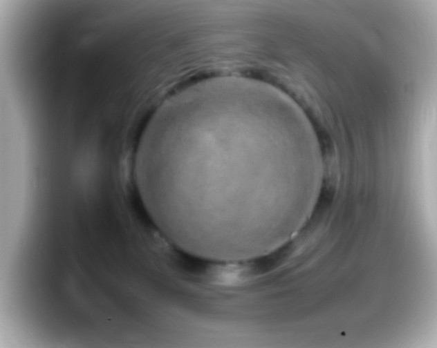 X0000099940131200805231300