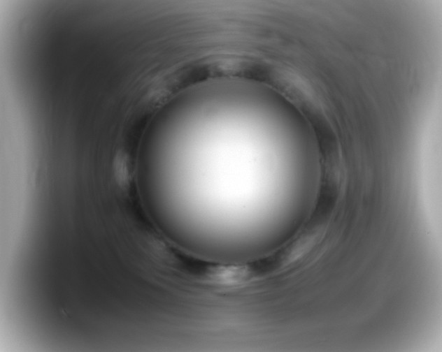 X0000099940135200805231300