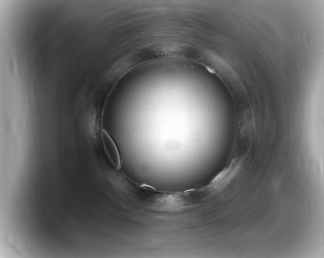 X0000099940140200805231300