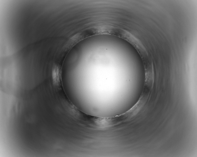 X0000099940142200805231300