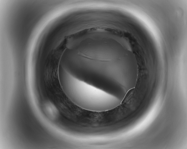X0000099940143200805231300