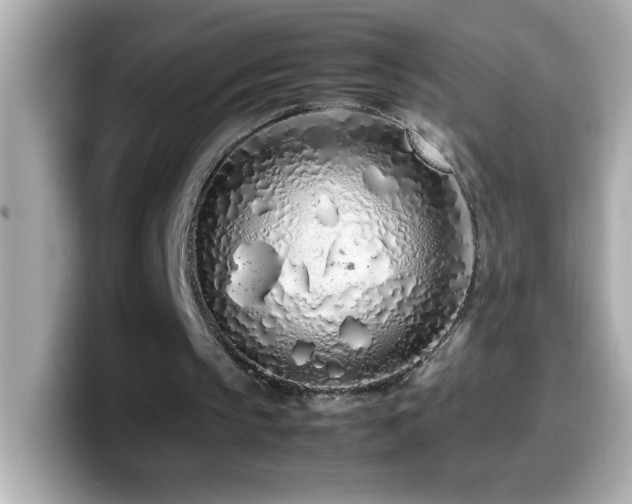 X0000099940145200805231259