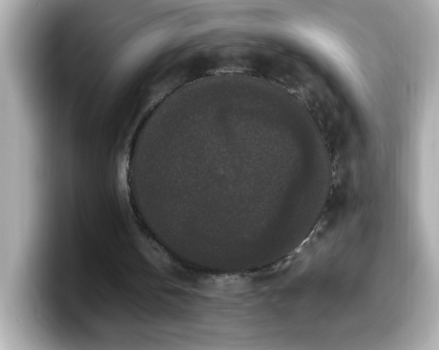 X0000099940146200805231259