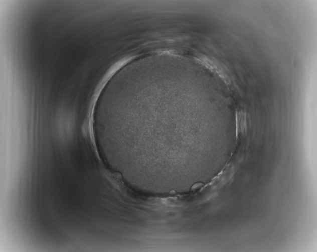 X0000099940147200805231259