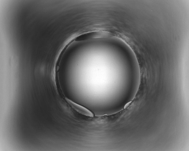 X0000099940148200805231259
