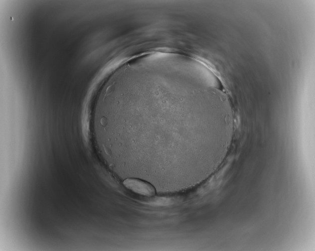 X0000099940149200805231259