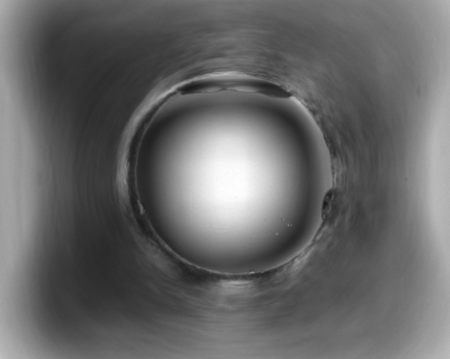 X0000099940150200805231259