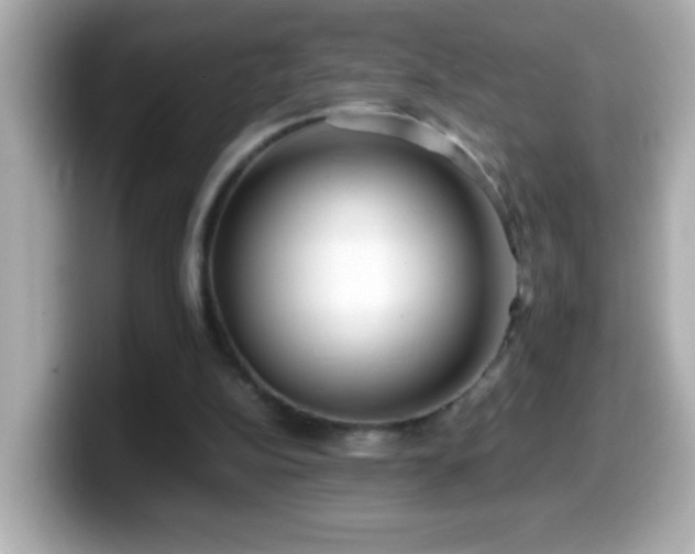 X0000099940152200805231259