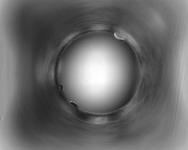 X0000099940155200805231259
