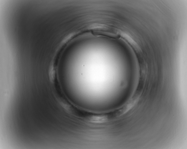 X0000099940160200805231259