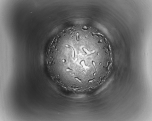X0000099940161200805231259
