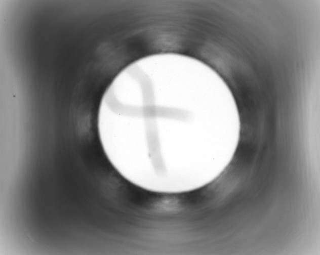 X0000099940162200805231259