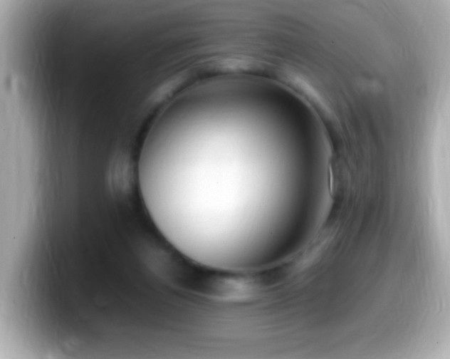 X0000099940164200805231259