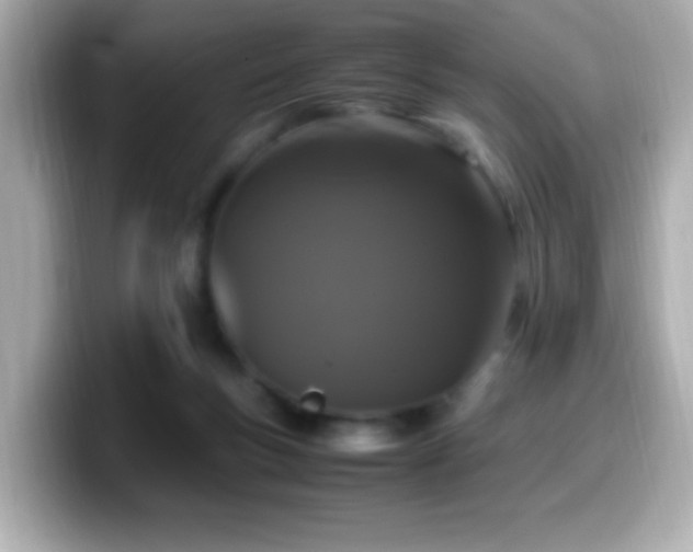 X0000099940167200805231259