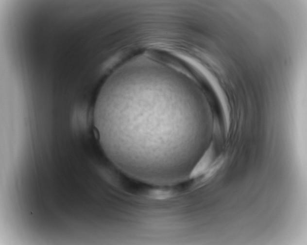 X0000099940168200805231259