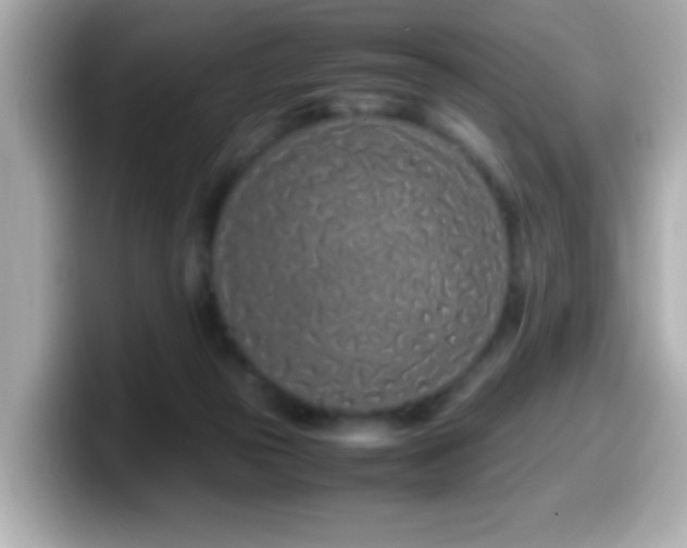 X0000099940169200805231259