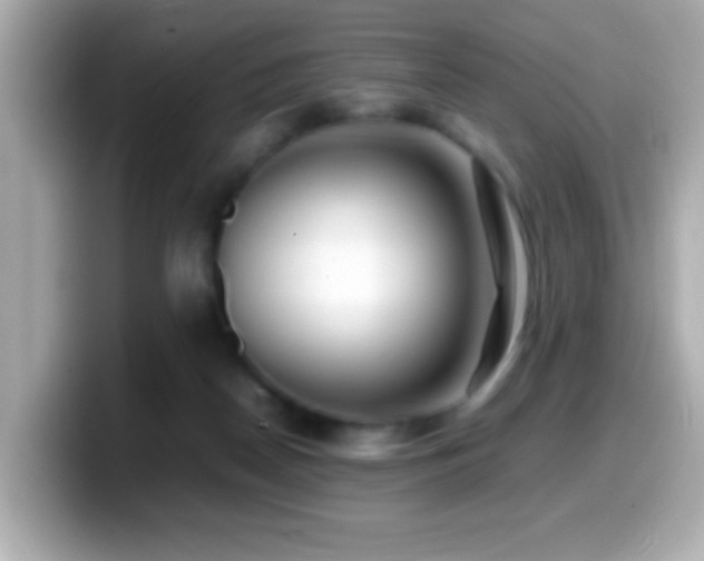 X0000099940170200805231259