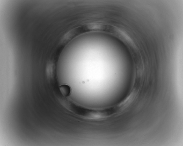 X0000099940171200805231259