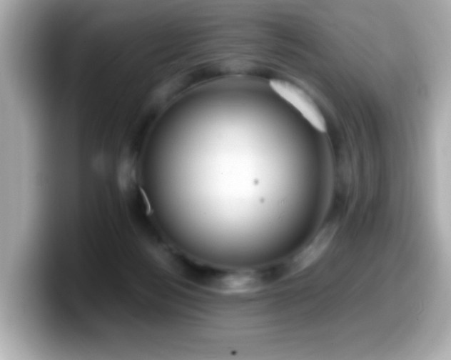 X0000099940172200805231259
