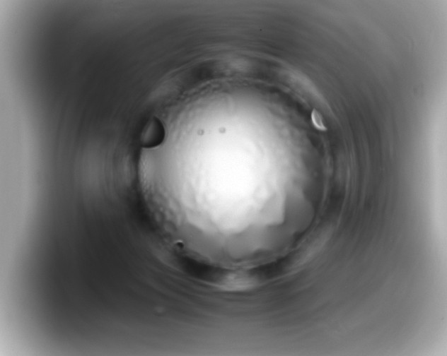 X0000099940173200805231259