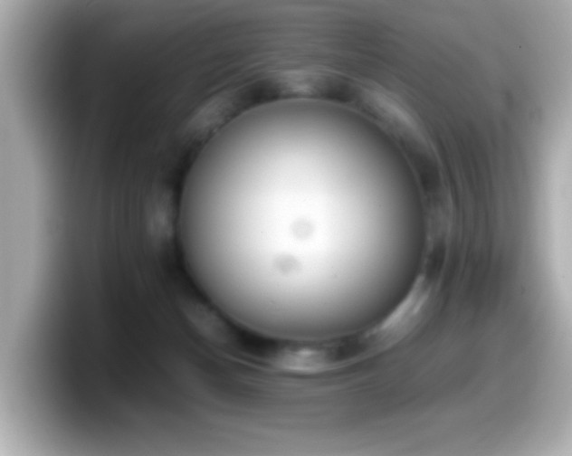 X0000099940174200805231259